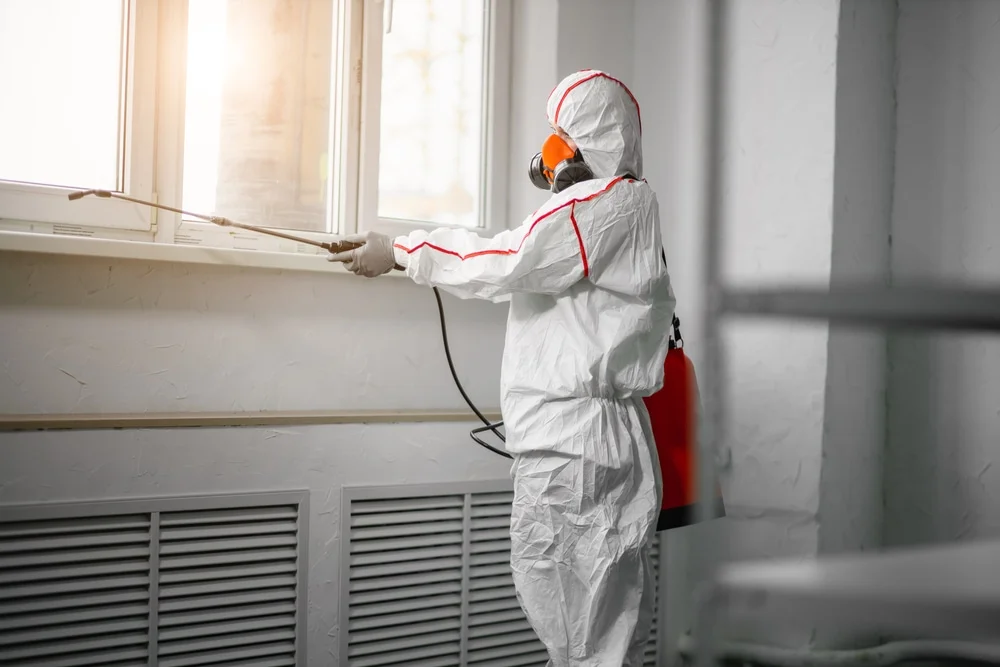 Professional mold remediation services in Stuart, FL